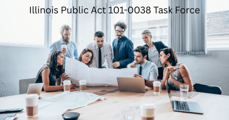 Illinois Public Act 101-0038 Task Force