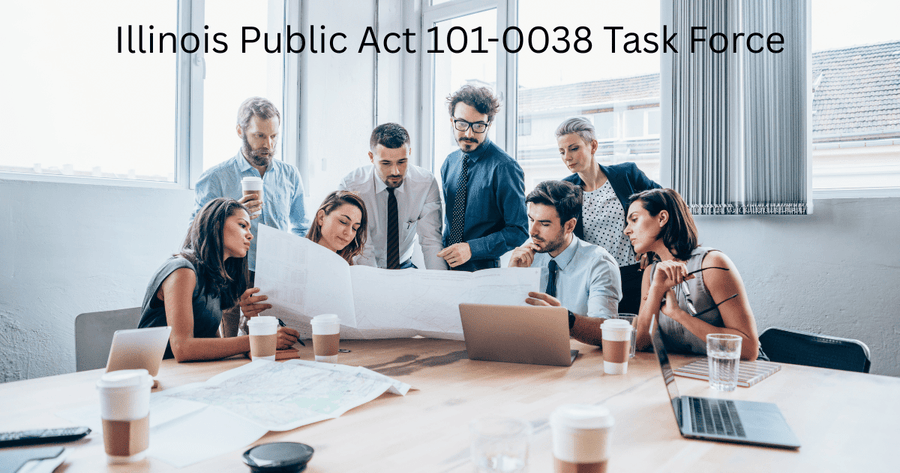 Illinois Public Act 101-0038 Task Force
