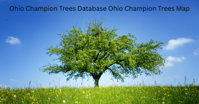 Ohio Champion Trees Database Ohio Champion Trees Map