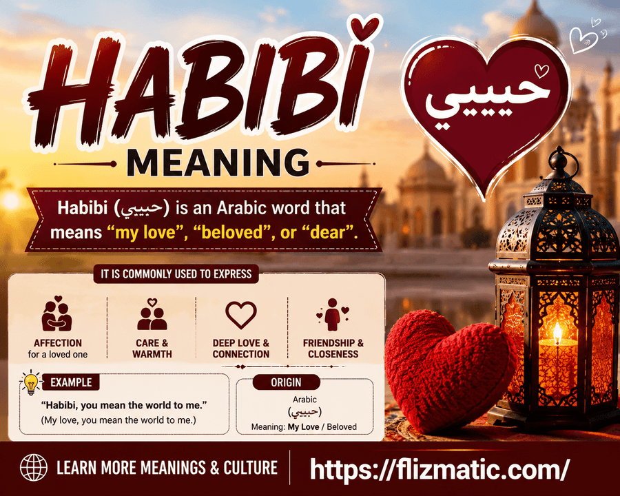 Habibi Meaning