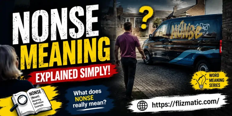 nonse meaning
