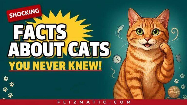 Facts About Cats